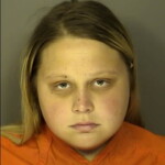 Cooper Taylor Nicole Breach Of Trust With Fraudulent Intent Under 2000