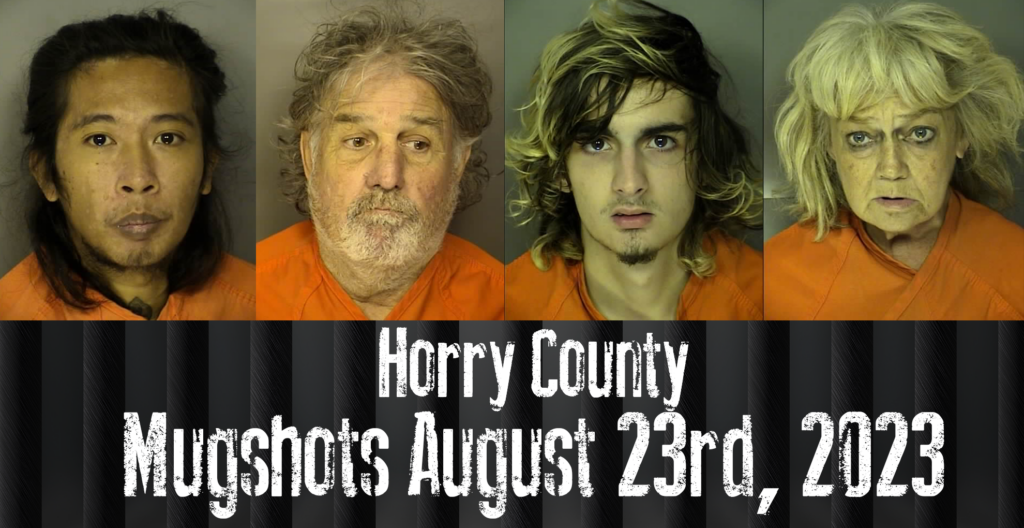 Horry County Mugshots August 23rd 2023 Wfxb