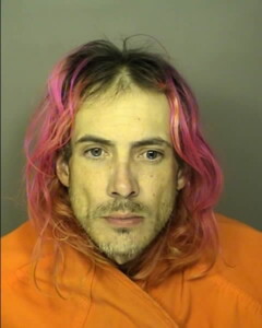Johnston Russell Ray Petit Or Simple Larceny Under 2000