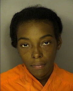 Wilson Shaterria Kierra Ordinance Weapons Discharge Of Firearms Slingshots Air Rifles Explosives Etc
