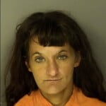 Zona Angela Marie Financial Transaction Card Theft Receiving Stolen Goods 2000 Or Less Prostitution Petit Or Simple Larceny Under 2000