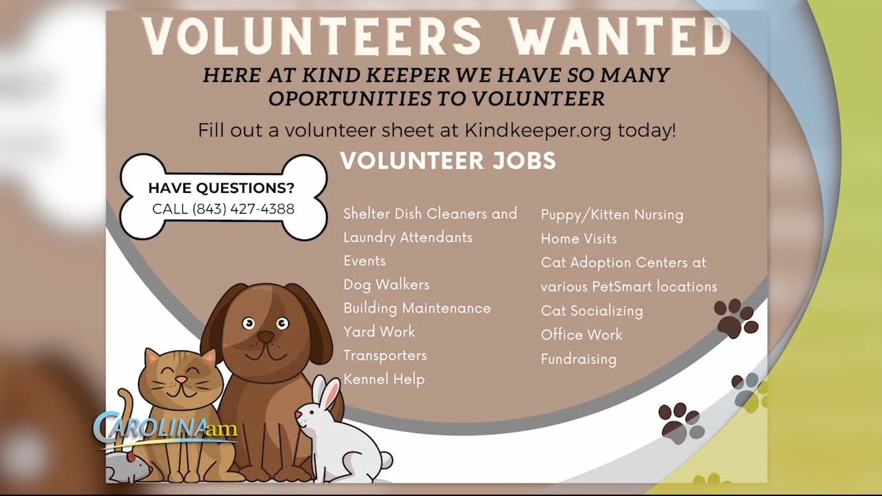 Got 30 Minutes? Kind Keeper Animal Rescue Could Use Your Help! - WFXB