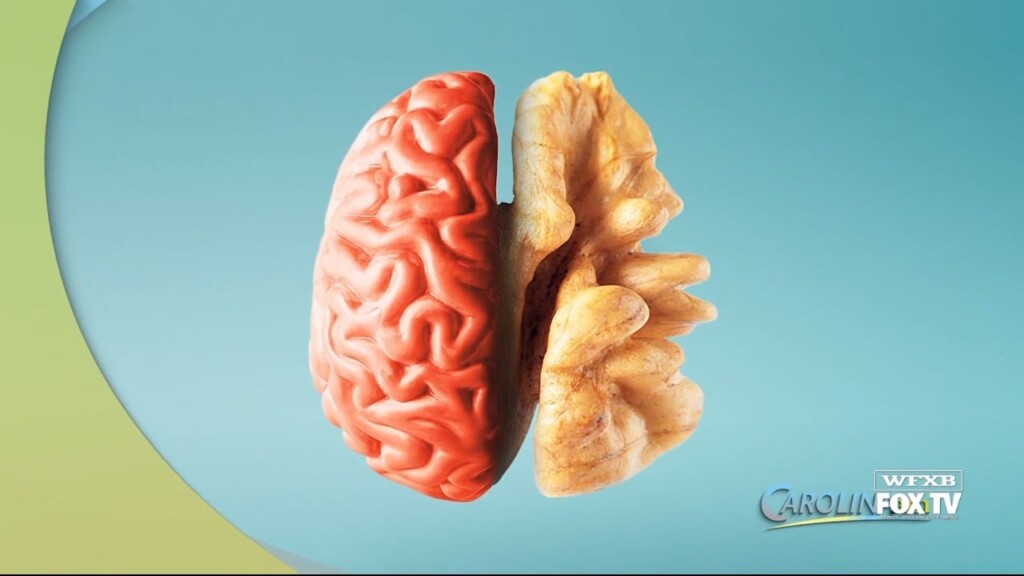 Cam 0905 Mind Diet