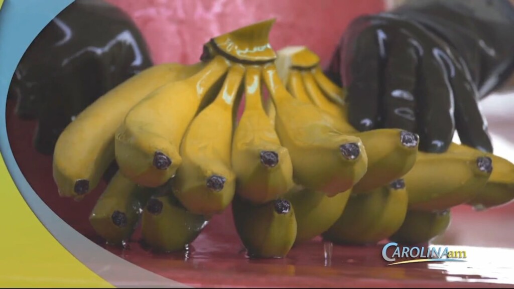 Bananas