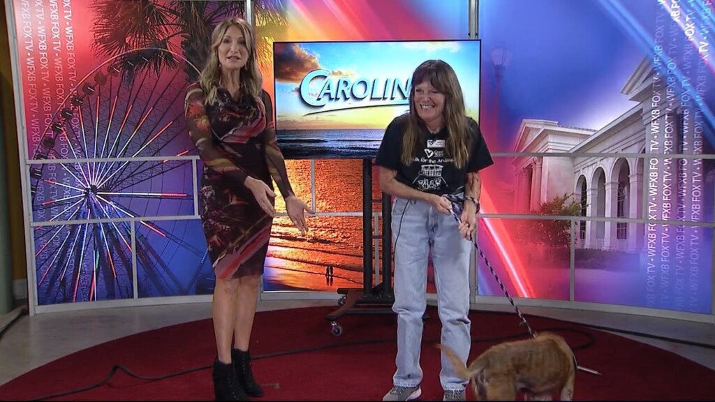 Cam 1019 Humane Society