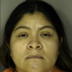 Lopez Vazquez Dina Romeri Domestic Violence 2nd Degree