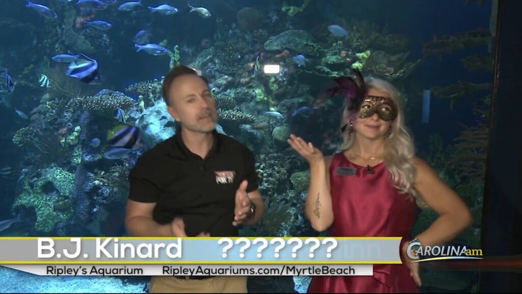 Cam 1013 Ripleys