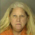 Mclean Megan Gray Public Disorderly Conduct Generally
