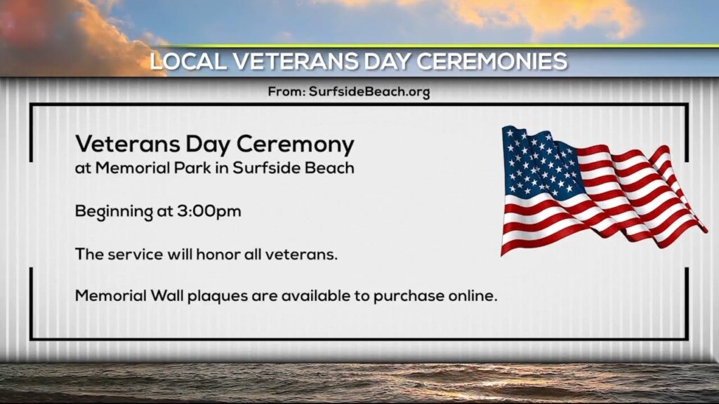 Veterans Day on the Beach