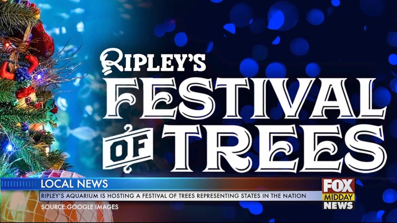 Ripley's Festival Of Trees WFXB