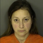 Fitzgerald Danna Michelle Domestic Violence 3rd Degree