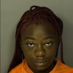 Paige Cynthia Beautiful Assault Battery 3rd Degree