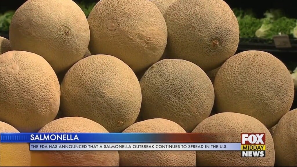 Salmonella