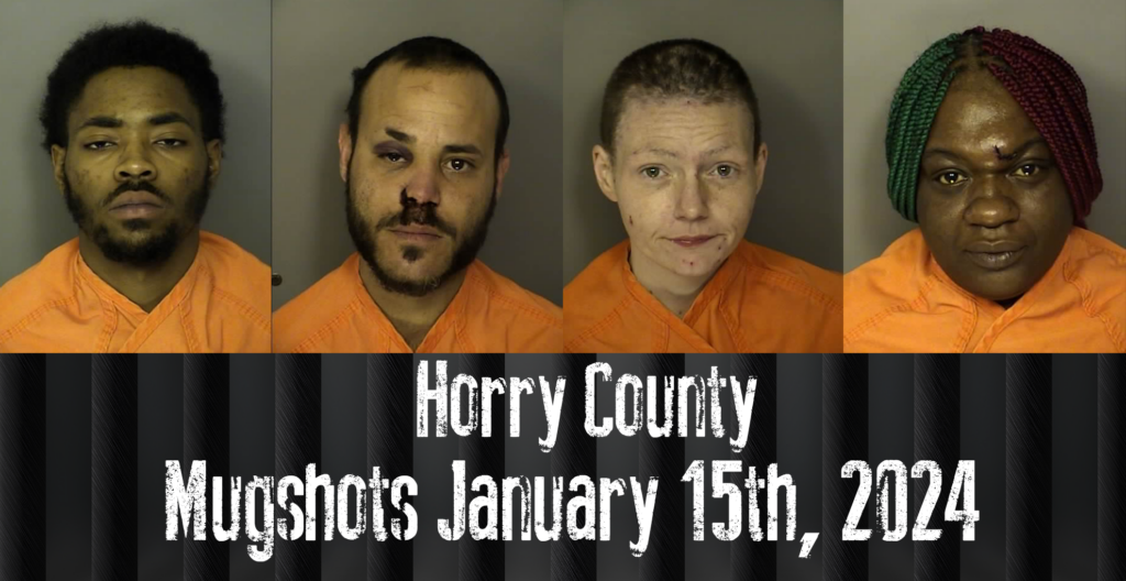 The View 2024 Mugshots 2024 Rorie Lilian