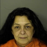 Molesi Tina Louise Domestic Violence 3rd Degree