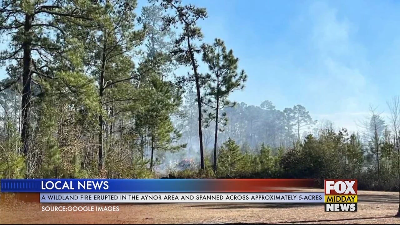 A Wildfire Erupted In The Aynor Area Spanning Across Nearly 5Acres WFXB