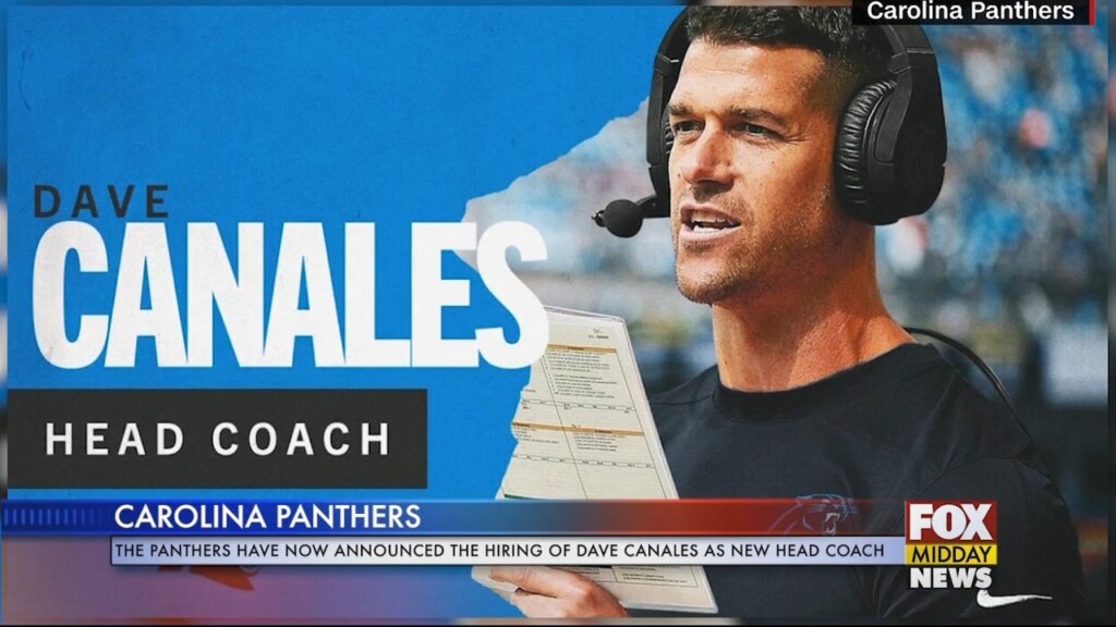 Panther