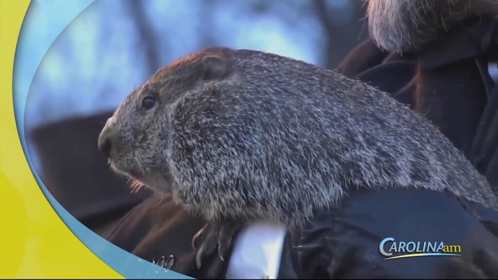 Groundhog