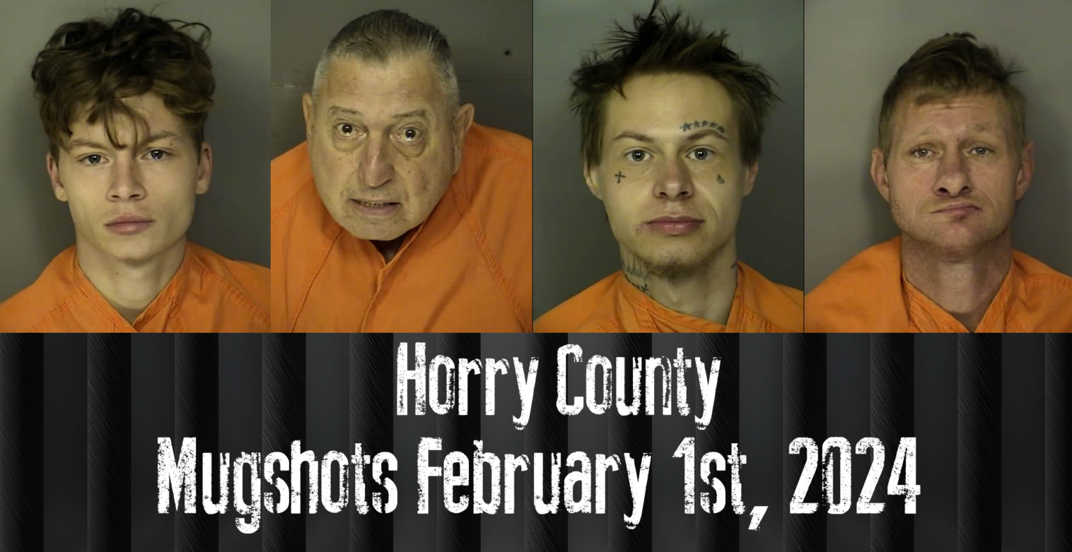 Bay County Mugshots 2024company Landing