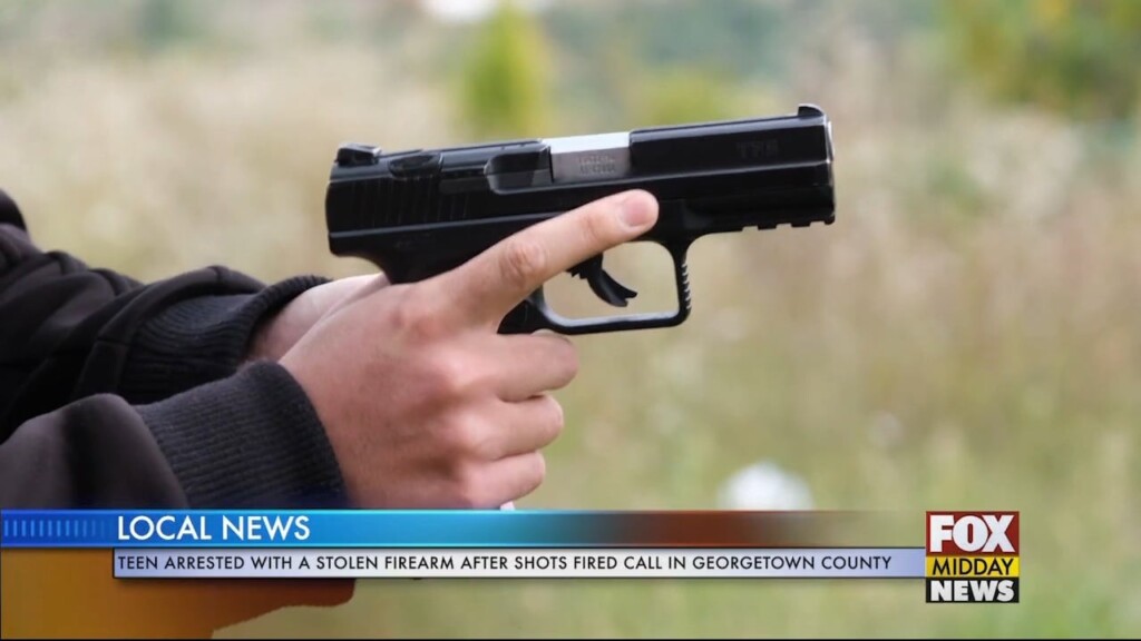 Gun
