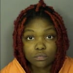 Jenerette Sequoia Niayna Hit Run Operating Uninsured Vehicle