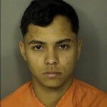 Rodrigues Vieira Gustavo Speeding Driving Without A License Obstruction Of Windshield Muffler Violation
