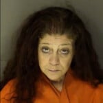 Davis Delores Leigh Pedestrian On Controlled Access Highway Resisting Arrest