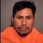 Roblero Bravo Ebaristo Froselito Driving Without A License