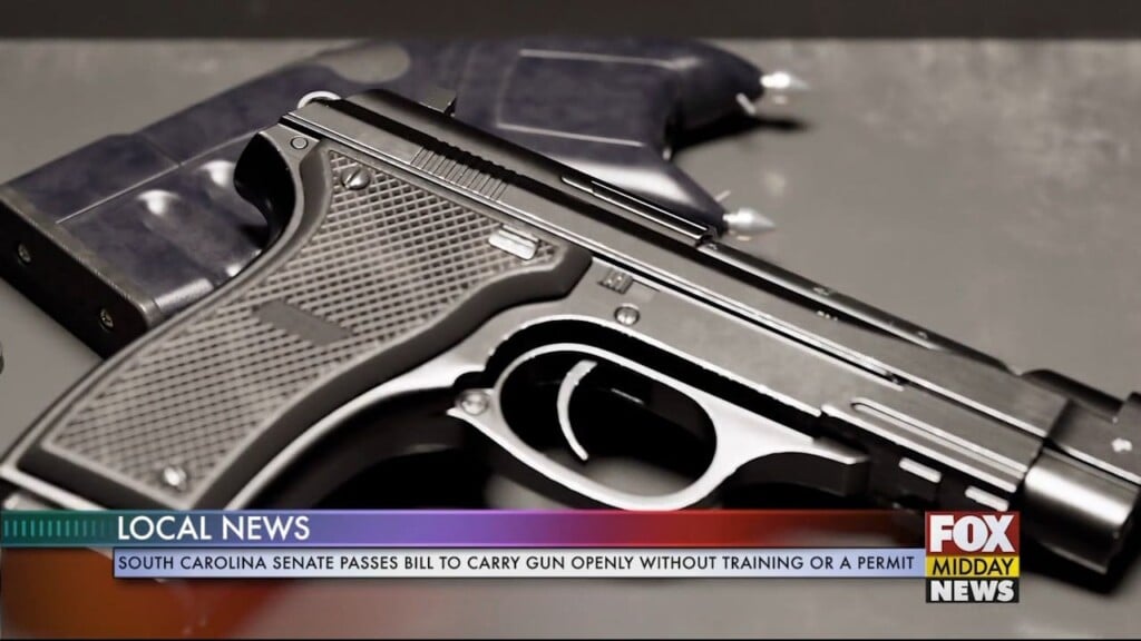 Gun