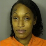 Johnson Quativa Deanna Petit Or Simple Larceny Under 2000 Financial Transaction Card Theft