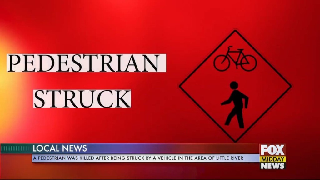Pedestrian