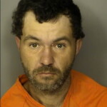 Black Zane Leo Shoplifting