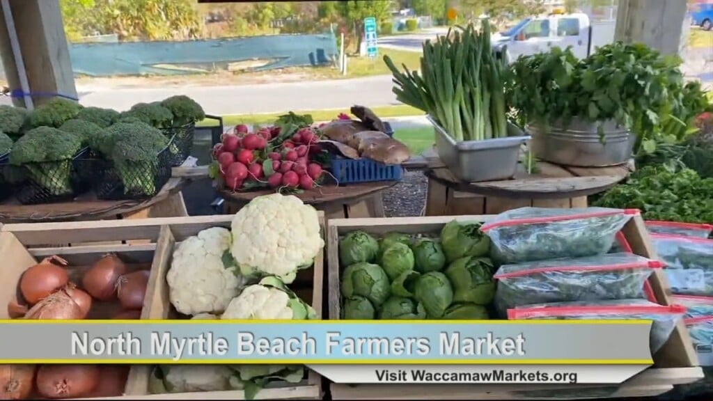 Farmers Market 040524