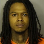 Rogers Timmone Tyon Operating Uninsured Motor Vehicle Driving Without A License