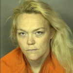 Todd Elizabeth Ann No Charges Listed