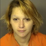 Drake Kimberly Ann Poss Conceal Sell Or Dispose Of Stolen Vehicle