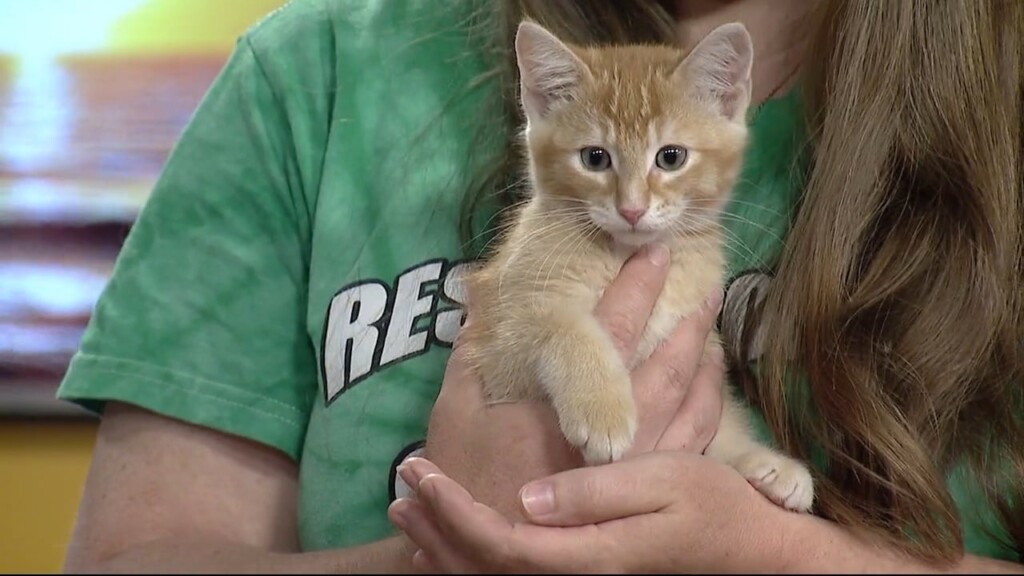 Nmb Humane Society 050624