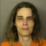 Diggs Shannon Marie Ordinance Fighting