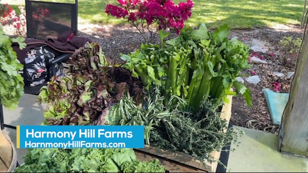 Harmony Hill Farms 052024