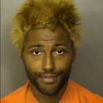 Mccoy Mekatda Lee No Dl In Possession Stopping Standing Or Parking Prohibited In Specified Places