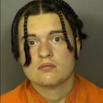 Furlong Michael Joseph Sale Or Delivery Of Pistol To And Possession By Certain Persons Unlawful Pointing And Presenting Firearms At A Person