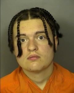 Furlong Michael Joseph Sale Or Delivery Of Pistol To And Possession By Certain Persons Unlawful Pointing And Presenting Firearms At A Person