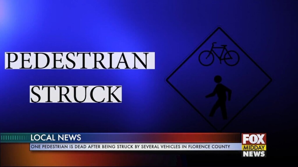Pedestrian