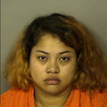 Ramirez Zuniga Jessyca Nohemy Prostitution Giving False Information To Law Enforcement Fire Dept Or Rescue Dept