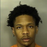 Southerland Michael Lynn Reckless Driving Hit Run