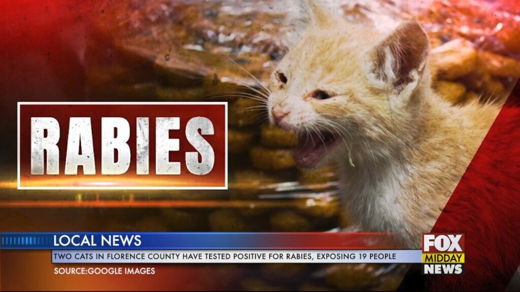 Rabies