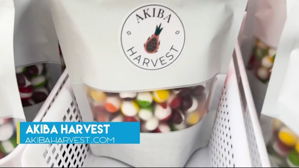 Akiba Harvest 062424