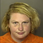Lee Gore Carina Lynn Giving False Information To Law Enforcement Fire Dept Or Rescue