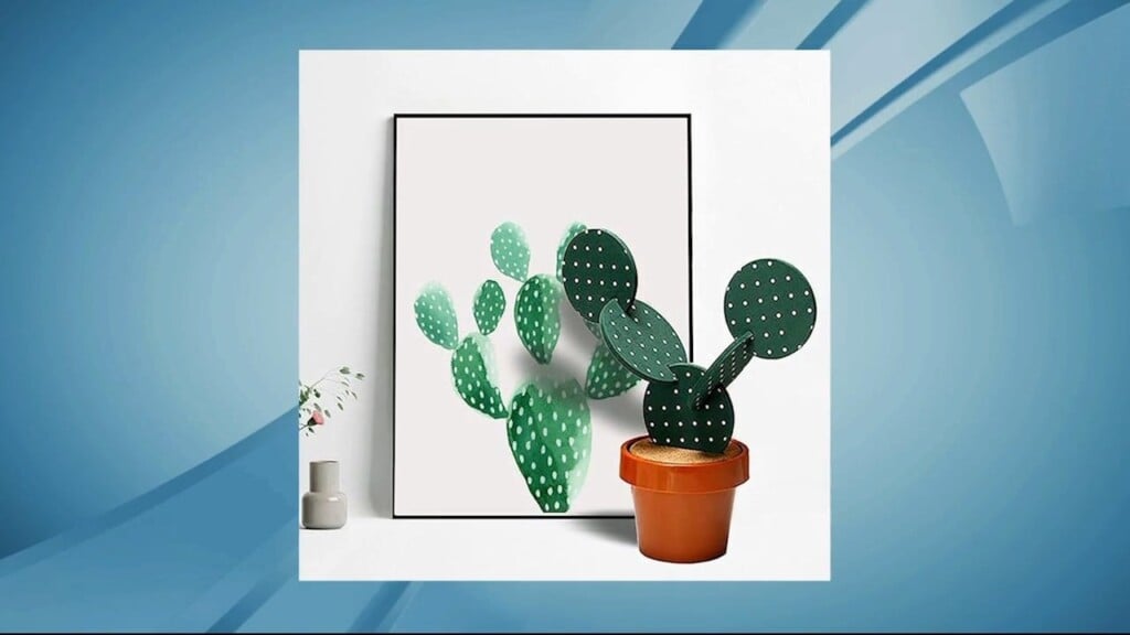 Amazon Finds