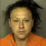 Chesley Virginia Lynn Common Law Robbery Assault Battery 1st Degree Unlawful To Possess Dispose Or Distprescription Drug Wo Prescription